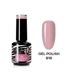 Box 60 Gel Polish