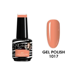 Gel Polish 1017